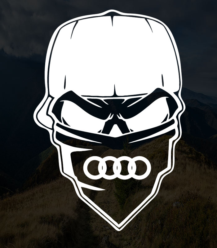 Audi Bandit